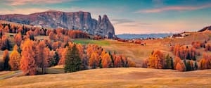 Discover Italy's Autumn: The Best Road Trips for Fall