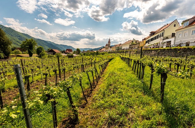 Wachau Valley, Austria