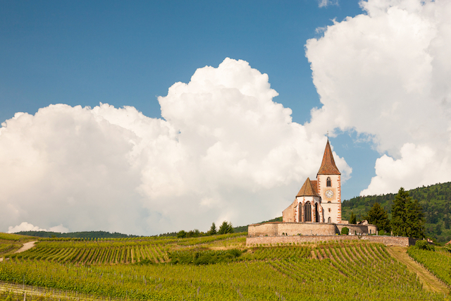 Burgundy Wine Route