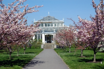 Things to Do in London: Visit Kew Gardens