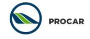 PROCAR Car Rental Logo