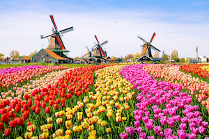 Explore Holland with Auto Europe