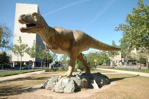 Things To See in Frankfurt Germany Museum of Natural History