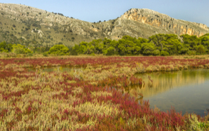 Kotychi and Strofilia Wetlands Natural Park
