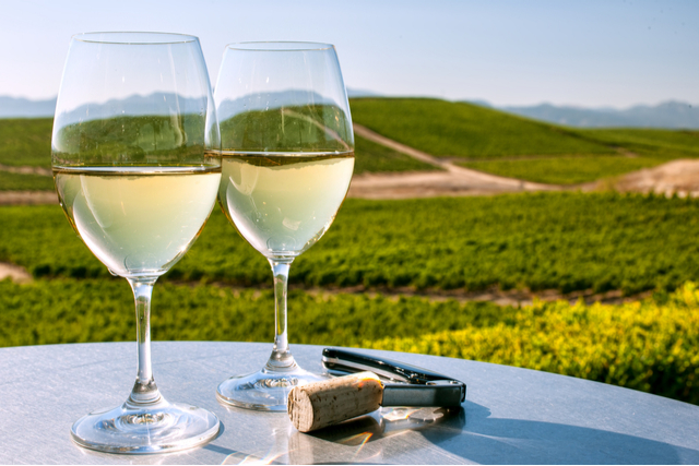 Wine Tasting for Two in Sonoma County