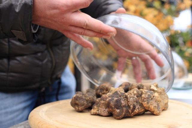 Alba Truffle Festival
