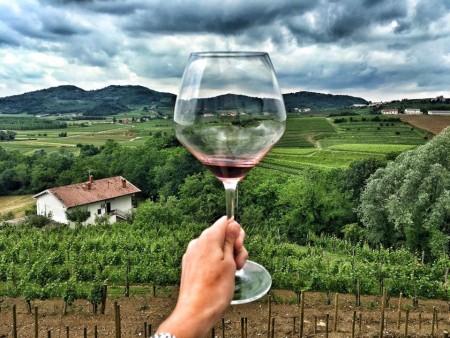 Drinking Wine in Slovenia