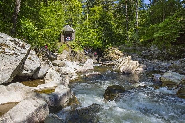Hermitage & River Braan, UK