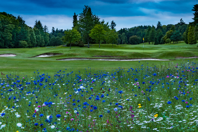 Royal Aberdeen Golf Club, Scotland