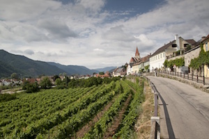 Drive to Discover Austrian Wine Country