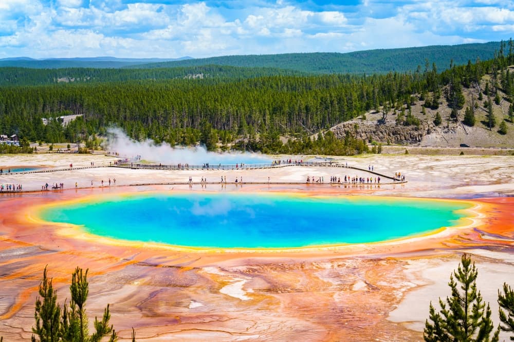 Grand Prismatic Spring Yellowstone