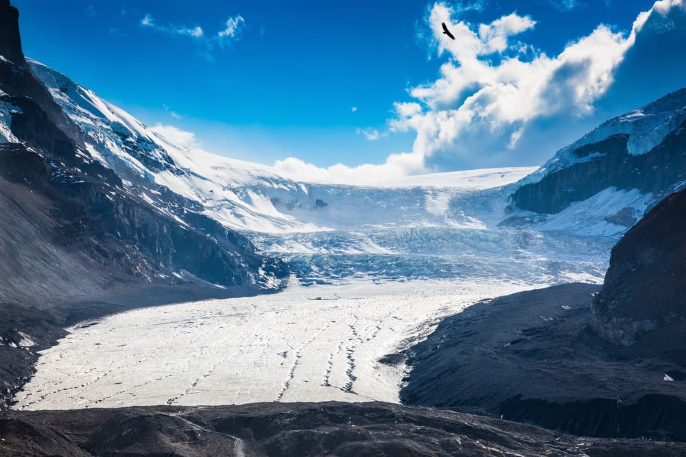jasper columbia icefields
