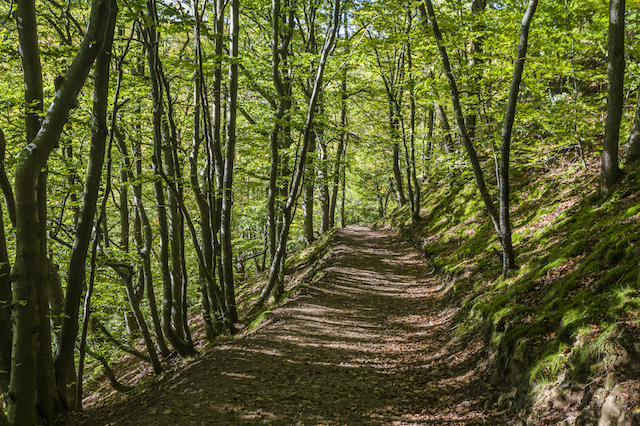Soderasens Nationa Park, Sweden