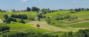5 Exquisite Wine Routes in France
